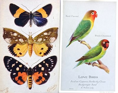 Lot 283 - Animal Postcards. In excess of 350 postcards...