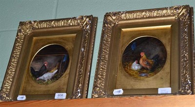 Lot 608 - A pair of 19th century oval oils on board of chickens and cocks, in gilt frames