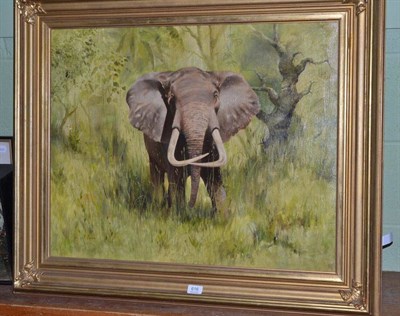 Lot 616 - *** Bryn ? (20th century), an elephant in the grass, indistinctly signed, oil on canvas, 59cm...