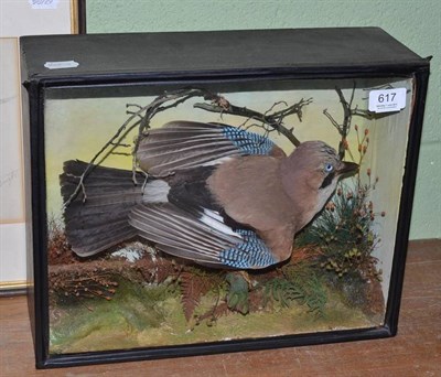 Lot 617 - A Jay in an ebonised case by James Gardner