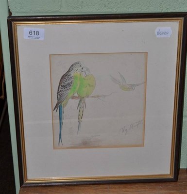 Lot 618 - Harry Bright, watercolour, pair of budgerigars