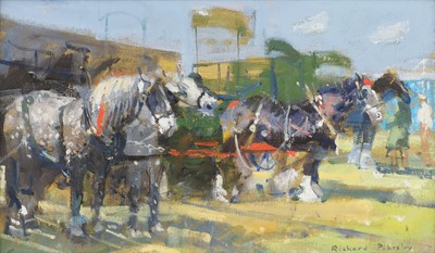 Lot 560 - Richard Pikesley RWS, PPNEAC (b.1951) Shire...