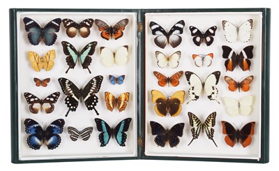 Lot 100 - Entomology: A Folding Album of African...