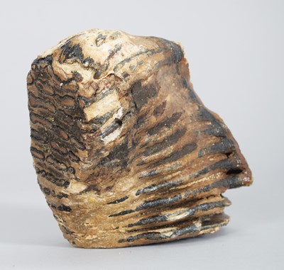 Lot Natural History: A Fossilized Mammoth Tooth...