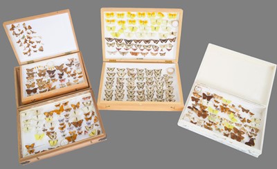 Lot 1135 - Entomology: A Collection of Various British &...