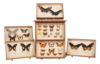 Lot 1143 - Entomology: An Early 20th Century Collection...