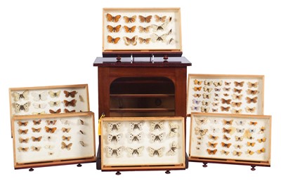 Lot 1144 - Entomology: A Victorian Stained Pine &...