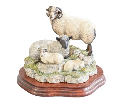 Lot 148 - Border Fine Arts 'Shetland Sheep Family Group'...