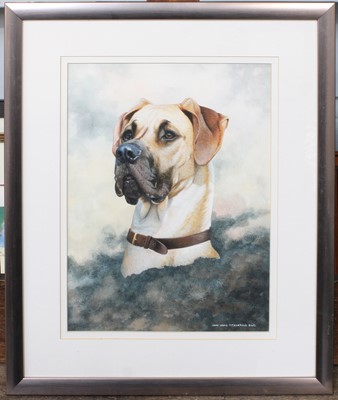 Lot 1069 - John Lewis Fitzgerald (b.1945) Head study of...