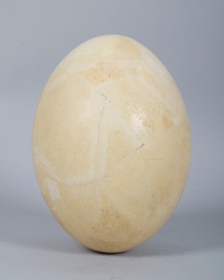 Lot 202 - Natural History: A Complete Elephant Bird Egg...