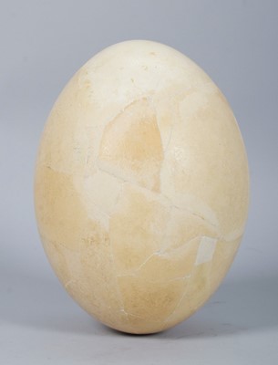 Lot 202 - Natural History: A Complete Elephant Bird Egg...