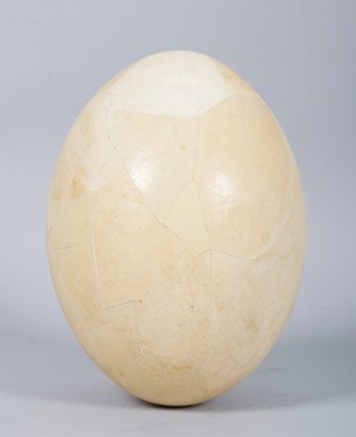 Lot 202 - Natural History: A Complete Elephant Bird Egg...