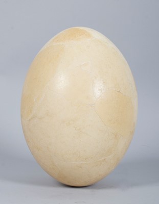 Lot 202 - Natural History: A Complete Elephant Bird Egg...
