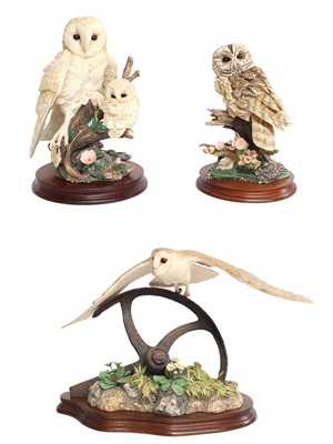 Lot 181 - Border Fine Arts Owl Models Comprising:...