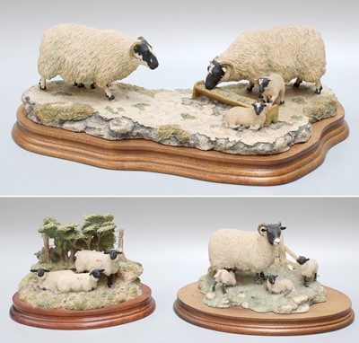Lot 180 - Border Fine Arts Sheep Groups Comprising:...
