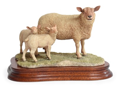 Lot 124 - Border Fine Arts 'Charolais Ewe and Lambs',...