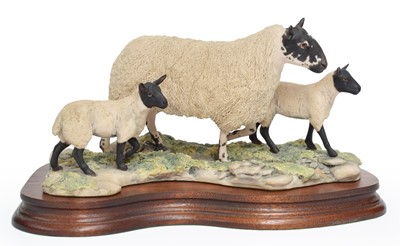 Lot 140 - Border Fine Arts 'Mule Ewe and Lambs', model...