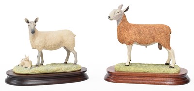 Lot 121 - Border Fine Arts 'Blue Faced Leicester Ewe and...