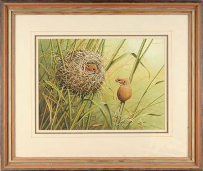 Lot 159 - Ralph Waterhouse (b.1943) Mice amongst...