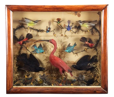 Lot 238 - Taxidermy: A Late Victorian Case of Birds...