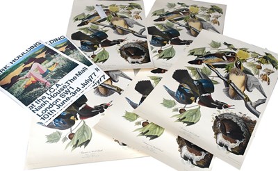 Lot 164 - R Havell after John James Audubon FRS FLS...