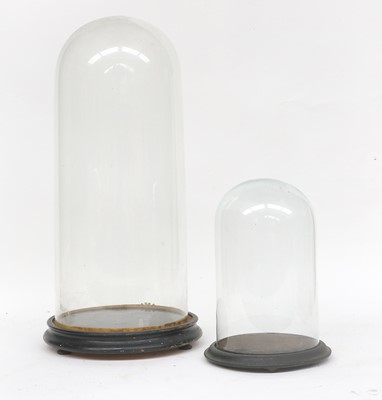 Lot 87 - A Victorian Glass Dome, on circular ebonised...