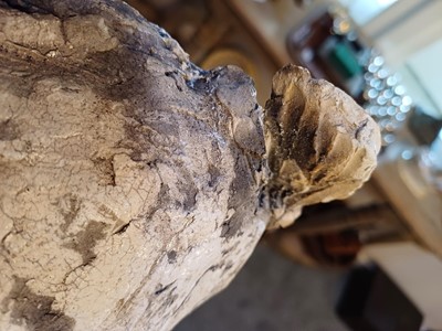 Lot 149 - Nick Mackman SWLA (b.1972) Badger Signed, raku...