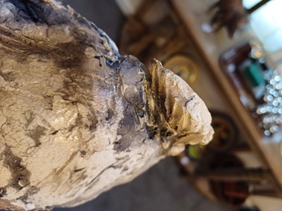Lot 149 - Nick Mackman SWLA (b.1972) Badger Signed, raku...