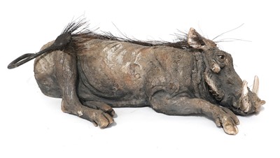 Lot 150 - Nick Mackman SWLA (b.1972) Warthog Signed,...