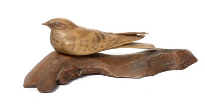 Lot 160 - British School (Contemporary) Nightjar perched...