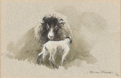 Lot 189 - Brian Irving (1931-2013) "Swaledale Sheep with...