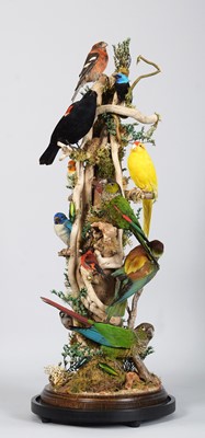 Lot 3 - Taxidermy: A Large Diorama of South American,...