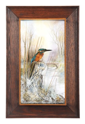 Lot 231 - Taxidermy: A Wall Cased European Kingfisher...