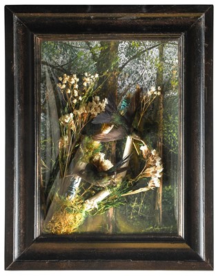 Lot 43 - Taxidermy: A Wall Cased Pair of Hummingbirds,...