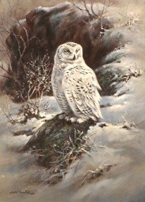 Lot 1029 - David Cemmick (Contemporary) Snowy Owl Signed...