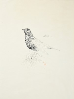 Lot 1001 - Raymond Harris Ching (b.1939) "Mistle Thrush"...