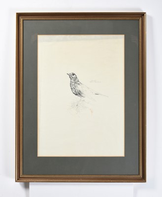 Lot 1001 - Raymond Harris Ching (b.1939) "Mistle Thrush"...