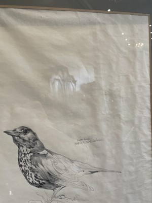 Lot 1001 - Raymond Harris Ching (b.1939) "Mistle Thrush"...