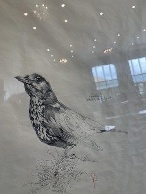 Lot 1001 - Raymond Harris Ching (b.1939) "Mistle Thrush"...