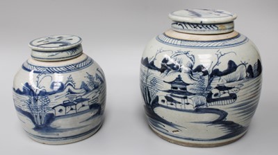 Lot 317 - Two Chinese Porcelain Provincial Ginger Jars...