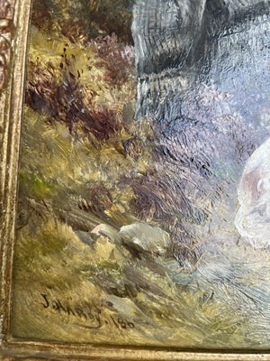 Lot 1042 - James Hardy Jnr. (1832-1897) "In Charge"...