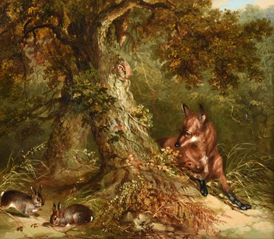 Lot 1044 - George Armfield (1808-1893) Fox and rabbits in...