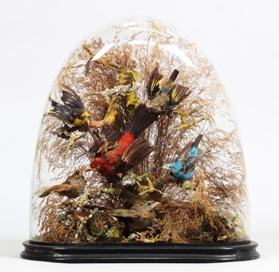 Lot 1124 - Taxidermy: A Late Victorian Diorama of...