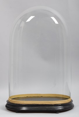 Lot 195 - Glass Dome: A Period Glass Dome, of oval shape,...