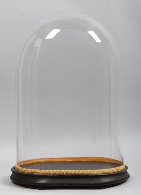 Lot 186 - Glass Dome: A Period Glass Dome, of oval shape,...