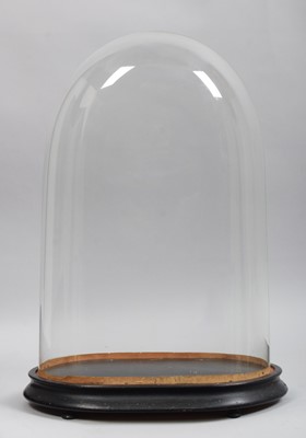 Lot 200 - Glass Dome: A Period Glass Dome, of oval shape,...