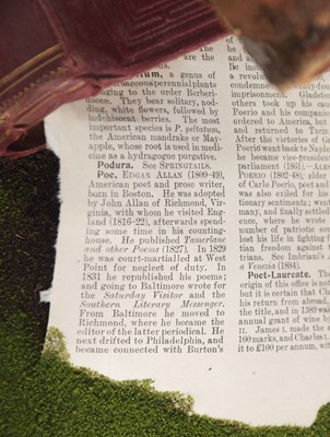 Lot 229 - Taxidermy: Edgar Allan Poe "The Raven" (Corvus...