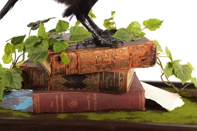 Lot 229 - Taxidermy: Edgar Allan Poe "The Raven" (Corvus...