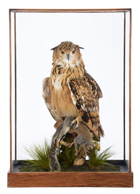 Lot 301 - Taxidermy: A Cased Bengal Eagle Owl (Bubo...