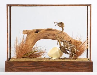 Lot 289 - Natural History: A Cased Recreation of Dodo...